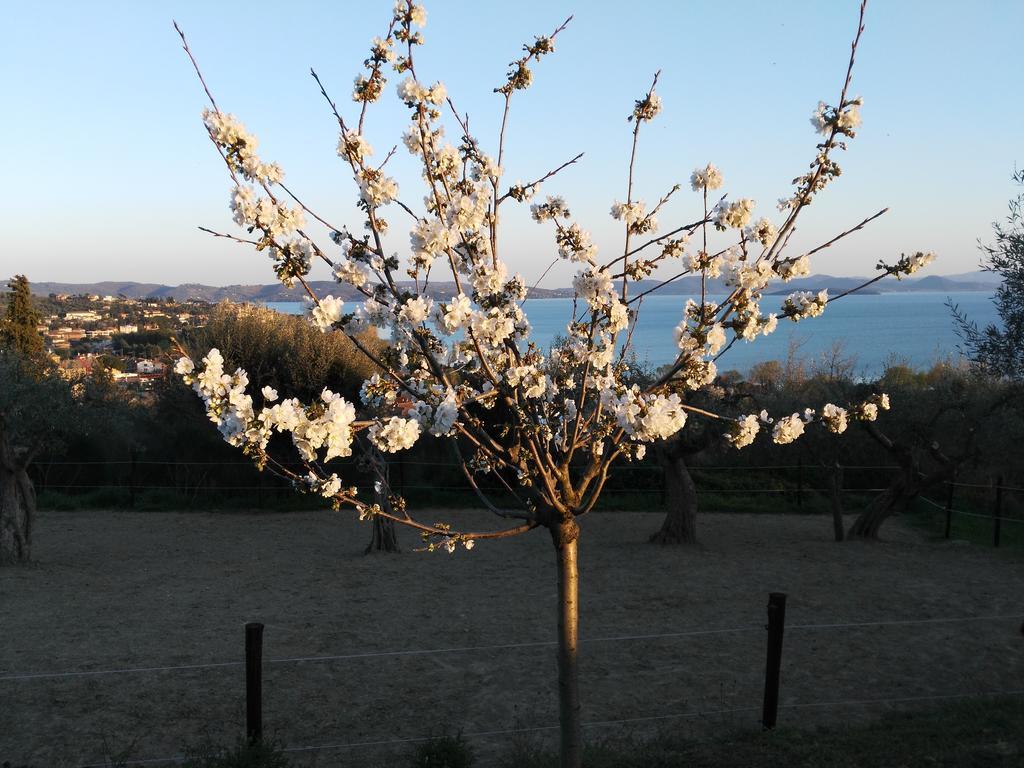 Antico Casale Tiravento Aparthotel Passignano sul Trasimeno Buitenkant foto