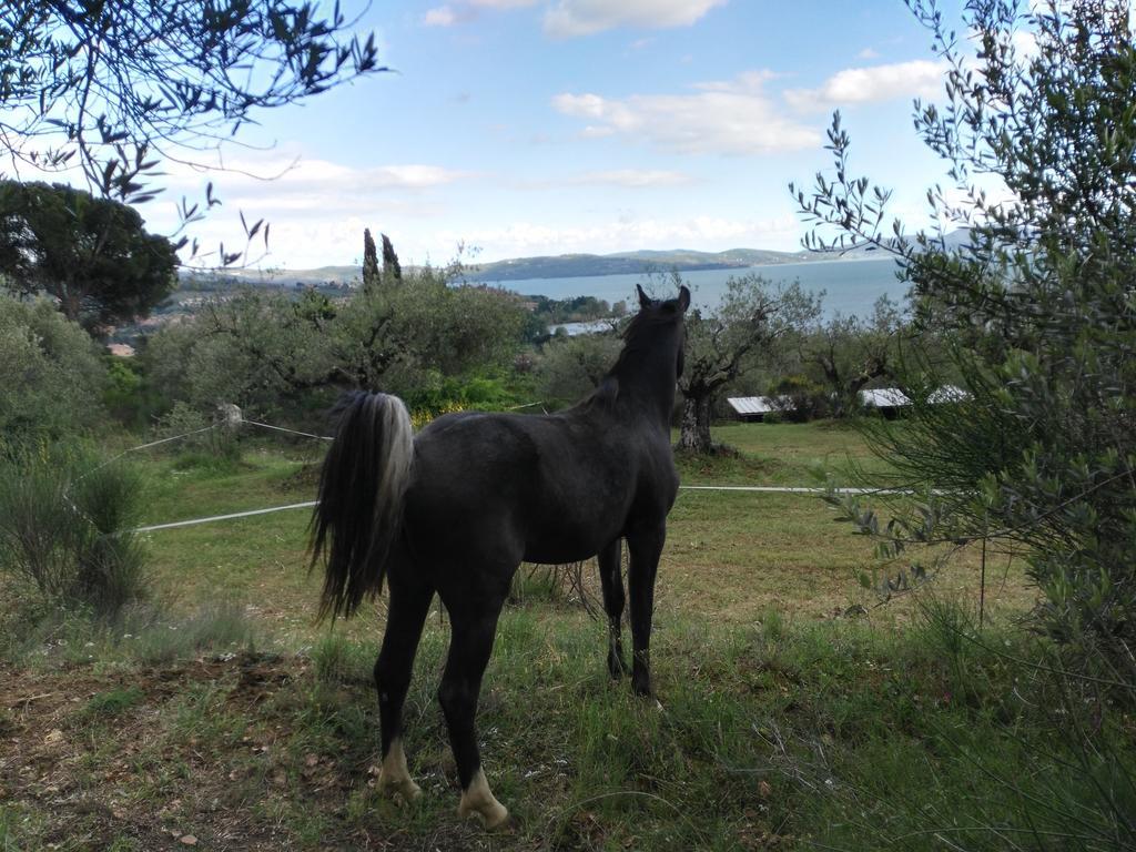 Antico Casale Tiravento Aparthotel Passignano sul Trasimeno Buitenkant foto