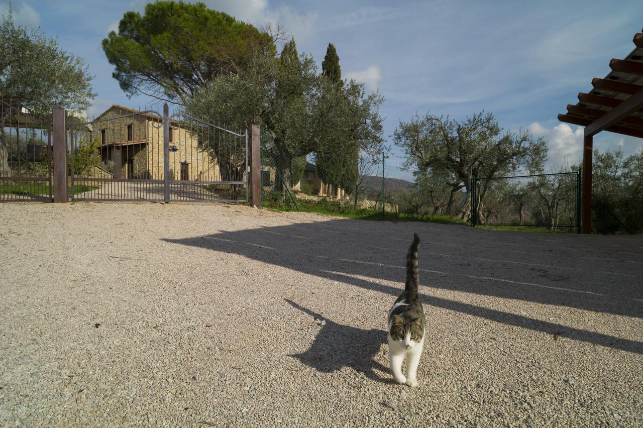 Antico Casale Tiravento Aparthotel Passignano sul Trasimeno Buitenkant foto
